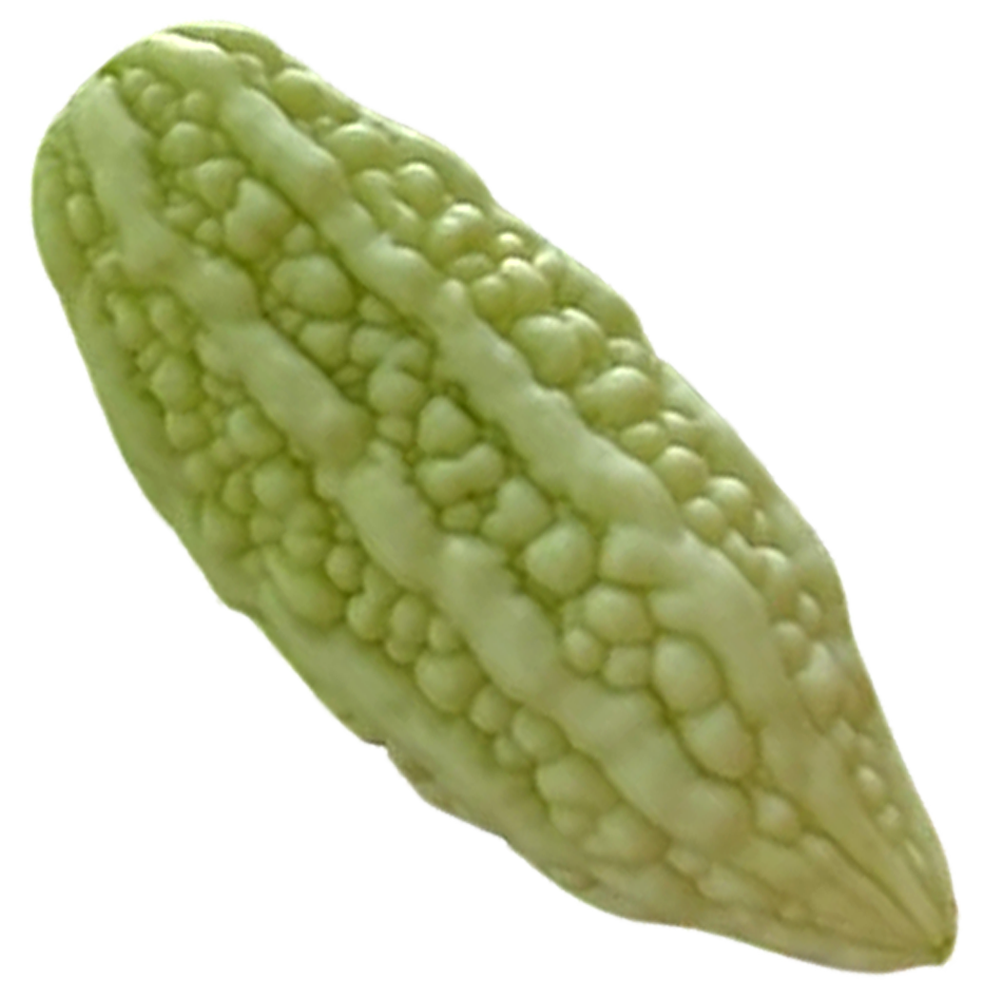 New Life Farm - Organic Bitter Melon 600g