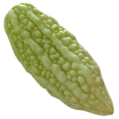 New Life Farm - Organic Bitter Melon 600g