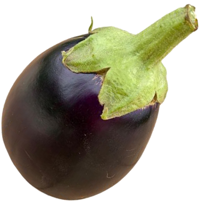 New Life Farm - Organic Eggplant 1