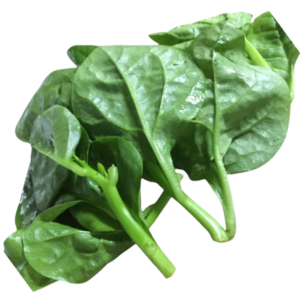 New Life Farm - Organic Ceylon Spinach 300g