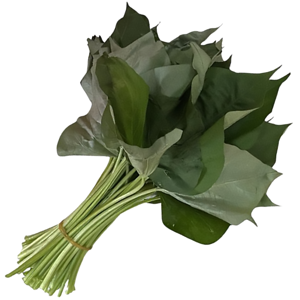 New Life Farm - Organic Sweet Potato Leaves (Green/Red - Random) 300g