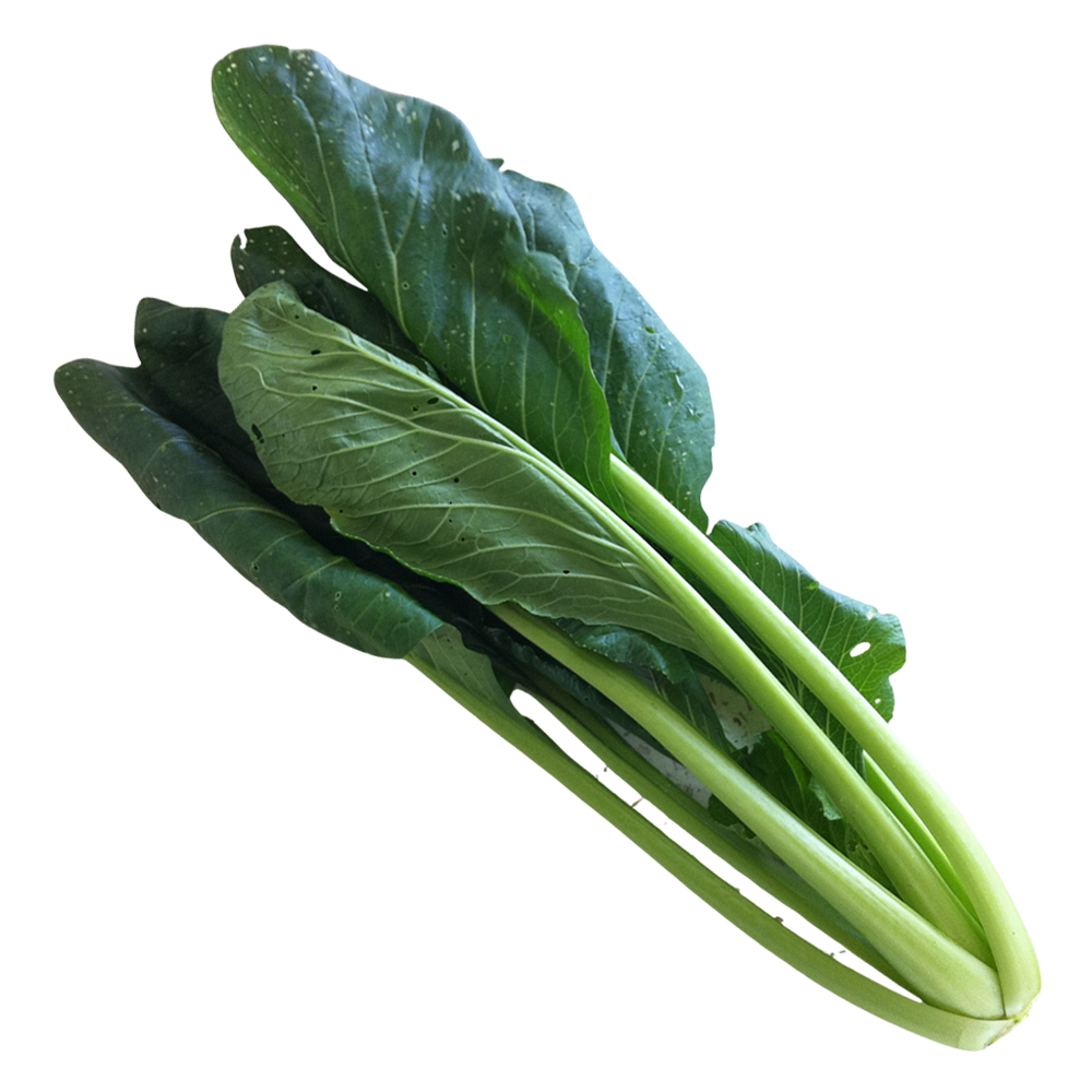New Life Farm - Organic Green Komatsuna 300g
