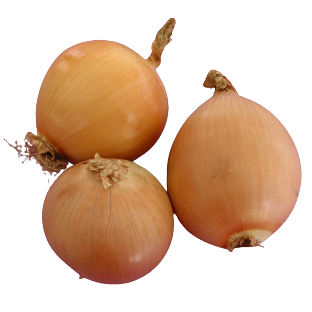 New Life Farm - Organic Onion 300g