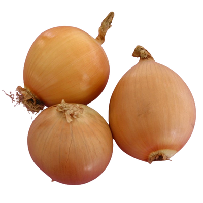 New Life Farm - Organic Onion 300g