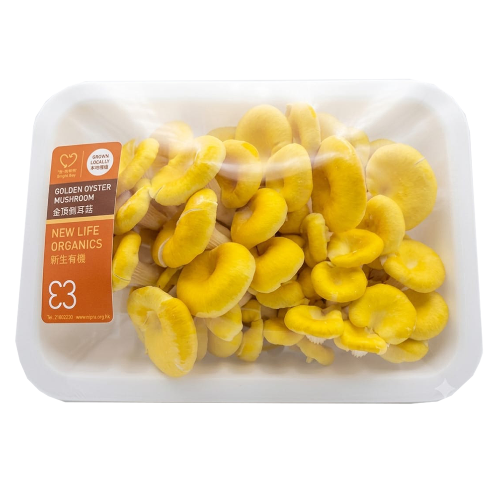 New Life Farm - Organic Golden Oyster Mushroom