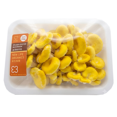 New Life Farm - Organic Golden Oyster Mushroom