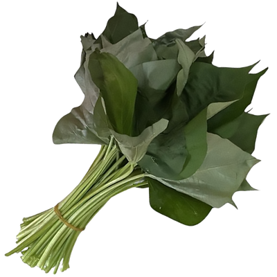 New Life Farm -  Organic Sweet Potato Leaves (Green/Red - Random) 300g