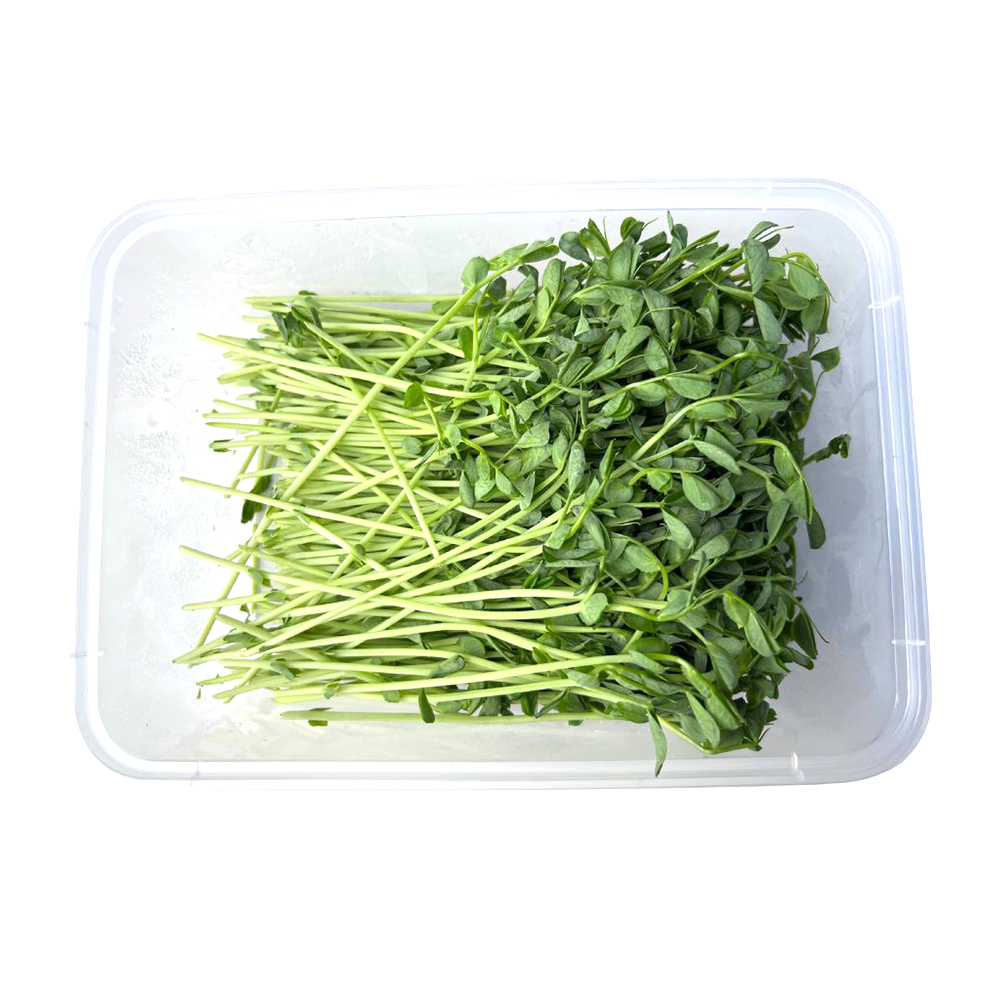 新生农场 - 有机翡翠苗(約100g)