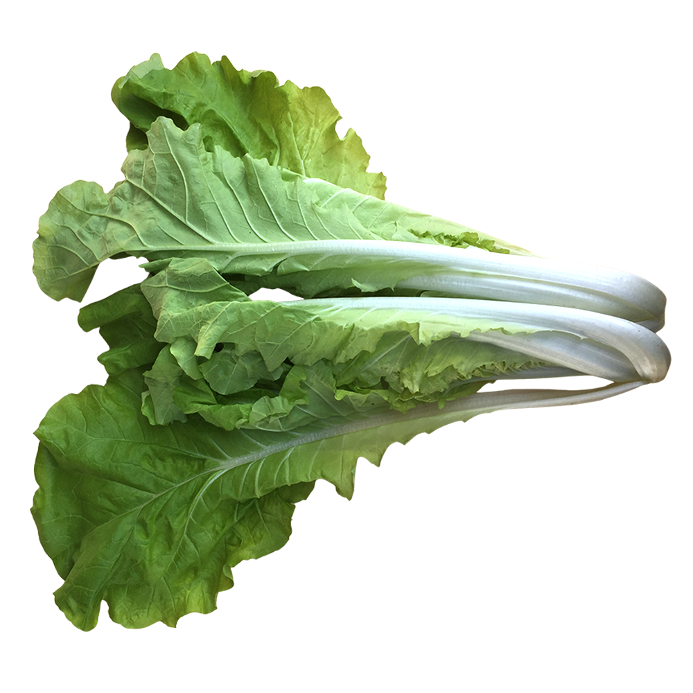 新生農場 - 有機白菜 半斤
